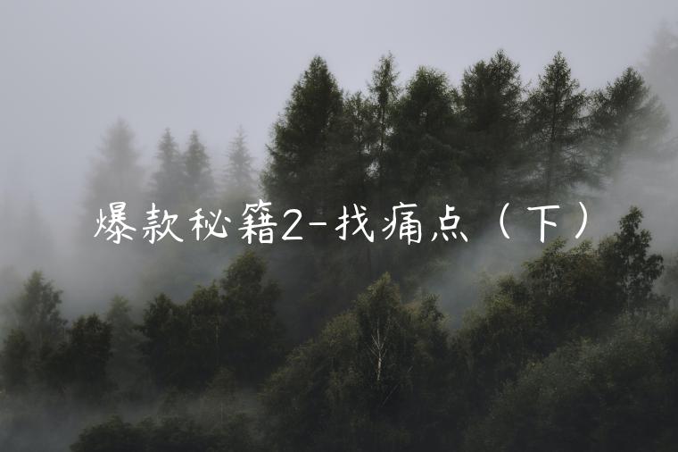 爆款秘籍2-找痛點(diǎn)（下）